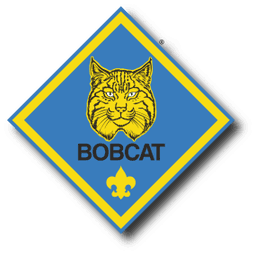 Lion Cubs rank badge